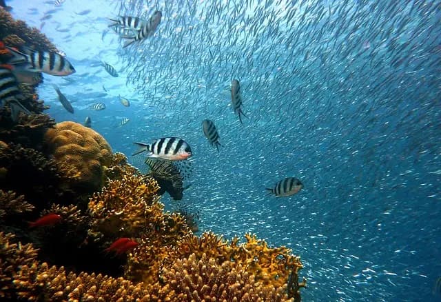 The Best Travel Getaways for Adventurers Seeking Thrills