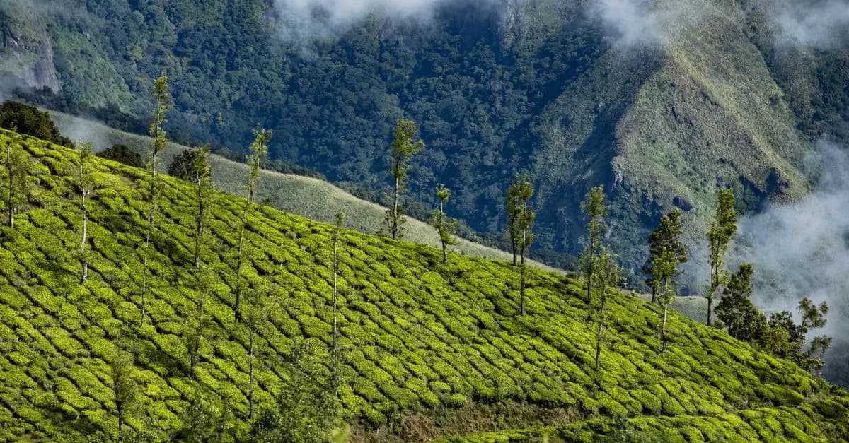 A Guide to Eco-Friendly Travel Getaways