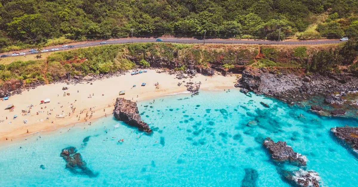 Exploring the Best Scenic Road Trips for Travel Getaways