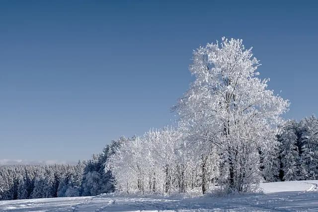 How to Plan the Perfect Winter Getaway to Unwind