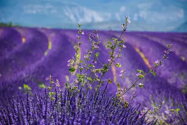 Top 10 Unique Travel Getaways You Must Experience