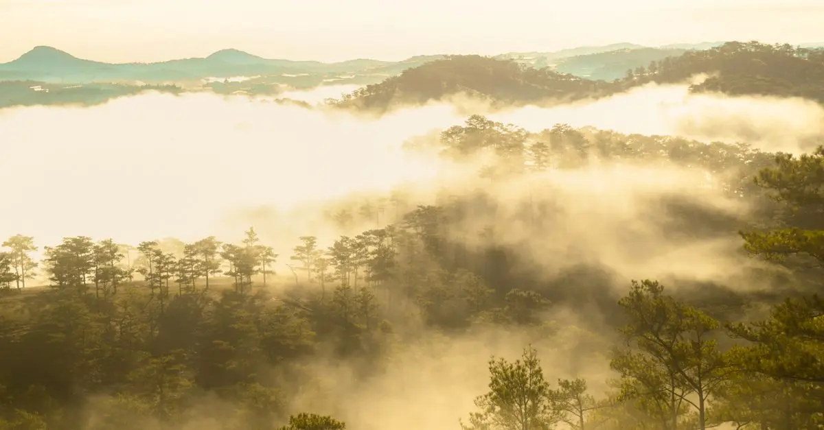 How to Find Affordable Travel Getaway Options