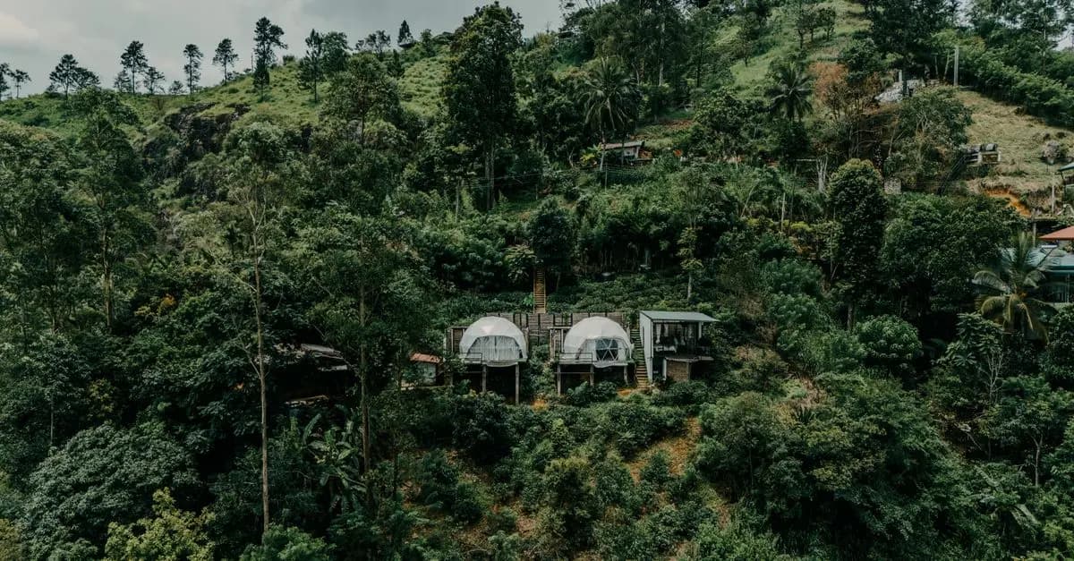 How to Travel Responsibly on Your Getaway