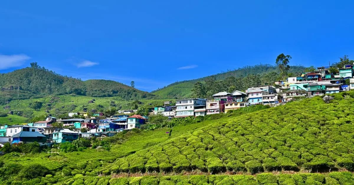 Ultimate Guide to Eco-Friendly Travel Getaways